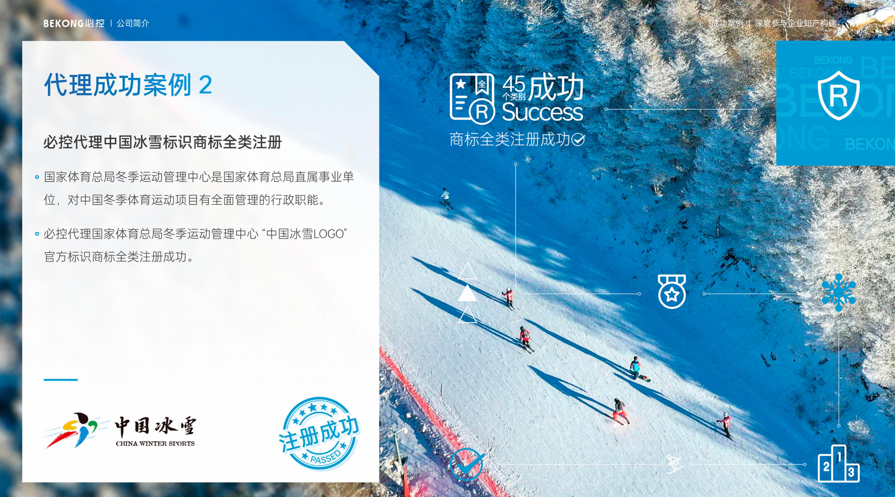 必控代理中国冰雪标识商标全类注册