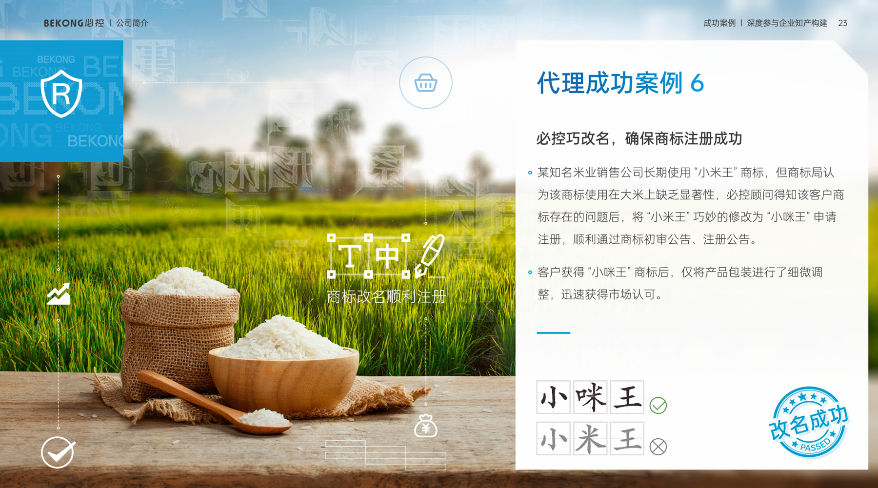 必控巧改名，确保商标注册成功